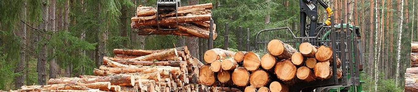 Toosikannu Metsahaldus OÜ on loodud 2009 aastal. Toosikannu Metsahaldus OÜ põhitegevusalaks on metsa majandamine ning seda toetavad tegevused, küttepuude ja sa