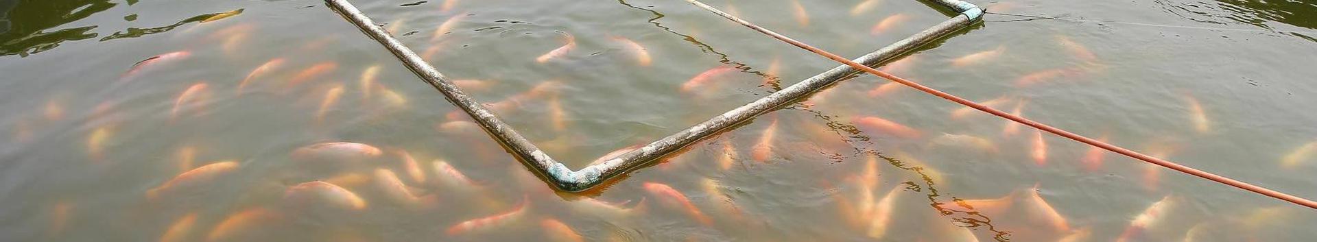 Business media page visits - 12; followers - 0. Reviews - 0; Articles 0 