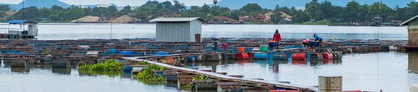 OÜ Kalavara on registreeritud 2002. a. Ettevõtte põhitegevuseks on magevee-vesiviljelus EMTAK 03221. 2022. aastal moodustas Kalavara OÜ müügitulu 52 756 eurot