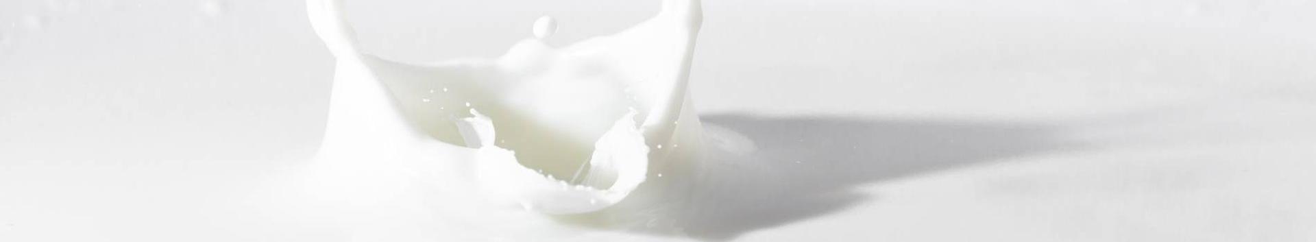MilkEst OÜ on asutatud Tulundusühistu Epiko, Saaremaa Piimaühistu, AS-i Saaremaa Piimatööstus, Tulundusühistu Jõgevamaa