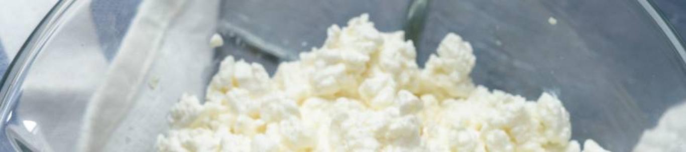 Alutaguse juust OÜ loodi 2017.aastal eesmärgiga toota käsitööjuustu. Põhitoodanguks on hallitusjuustud. 2021. aasta alguseks lisandusid toodete sortimenti külm