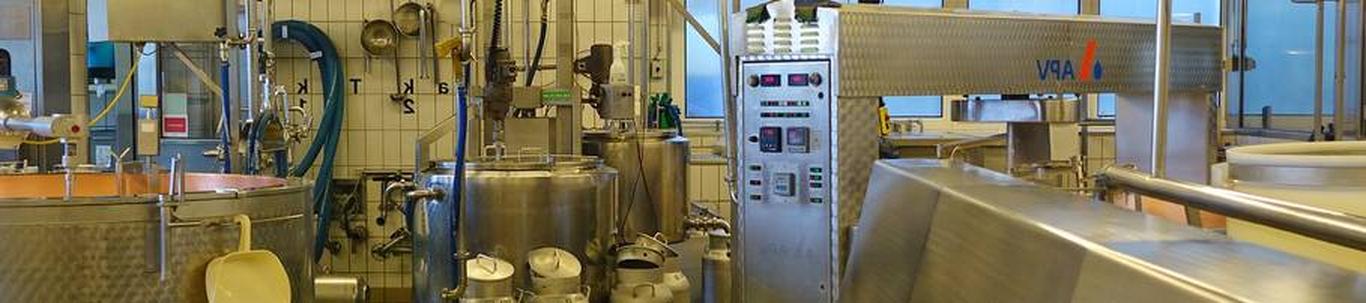 SAAREMAA DELIFOOD OÜ valdkond on piima töötlemine, piimatoodete ja juustu tootmine. Samas valdkonnas (EMTAK 1051) on tegutsevaid ettevõtteid 2023 aasta seisuga 