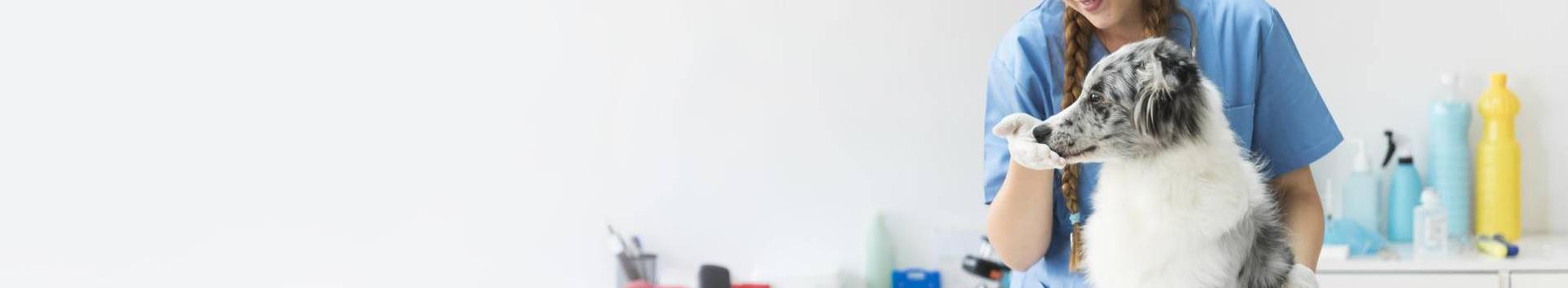 Ärimeedialehel külastusi - 157; jälgijaid - 0. Arvustusi - 0; Artikleid 0  