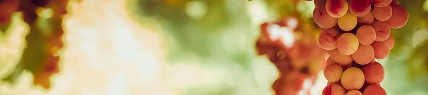 Majandustegevust ja rahade liikumist ei toimunud