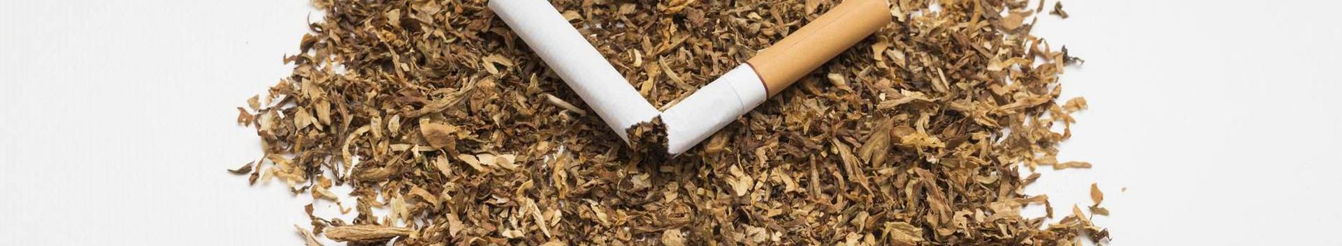 Ärimeedialehel külastusi - 0; jälgijaid - 2. Arvustusi - 0; Artikleid 0  