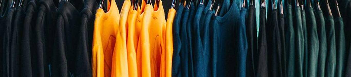 SVETLANA MOROZOVA FIE valdkond on muude rõivaste ja rõivalisandite tootmine. Samas valdkonnas (EMTAK 1419) on tegutsevaid ettevõtteid 2022 aasta seisuga kokku 8