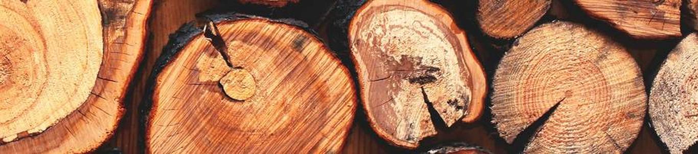 OÜ Ast Saeveski põhitegevusaladeks on ümarpuidu ja saematerjali ost, müük, saematerjali töötlemine (puidu kuivatamine ja hööveldamine) ning kinnisvara haldamine