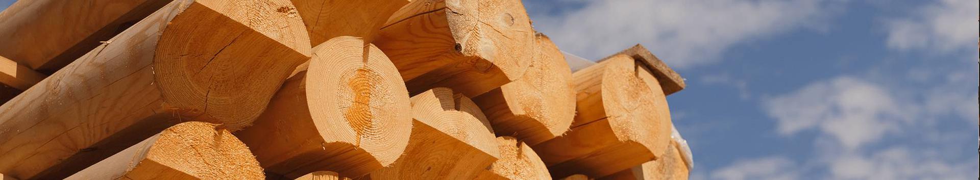 Wood and Paper Industry, wood industry, Sawmills
