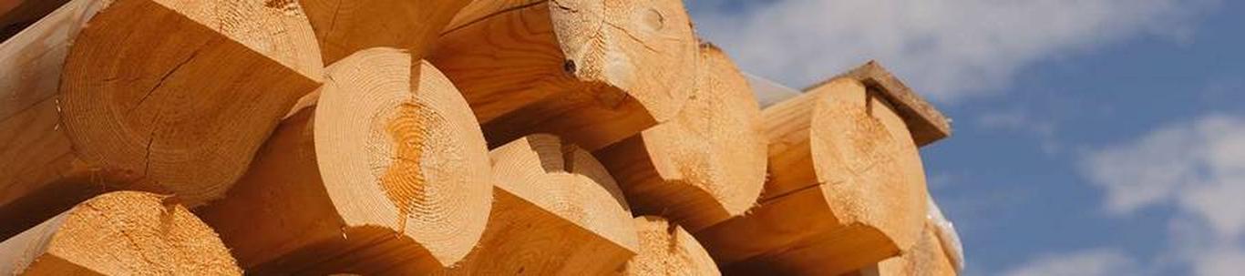 OÜ Priimo Puit on endise RAS Rapla Metsamajandi õigusjärglane, seega tegutsenud juba aastast 1966. 2015.a. alustati puidu töötlemisega, osutati puidu hööveldam