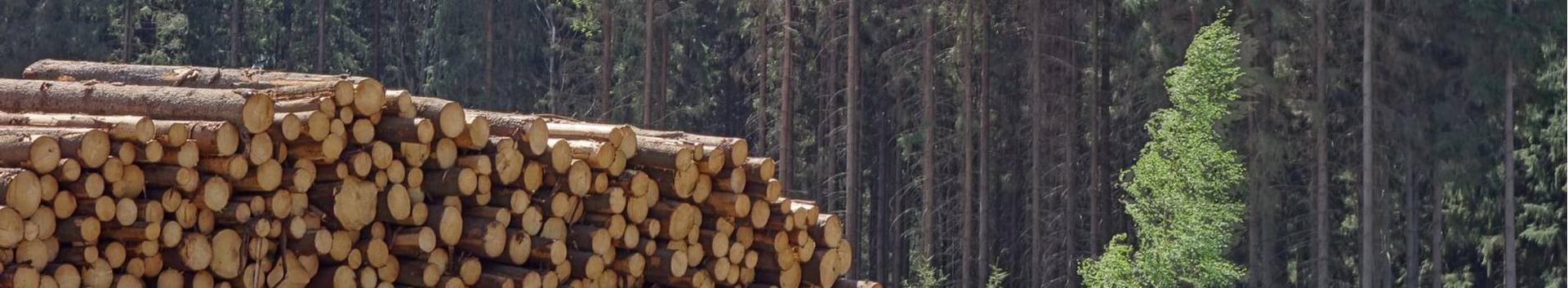 metsatööd, puidu- ja paberitööstus, puidutööstus, saeveskid