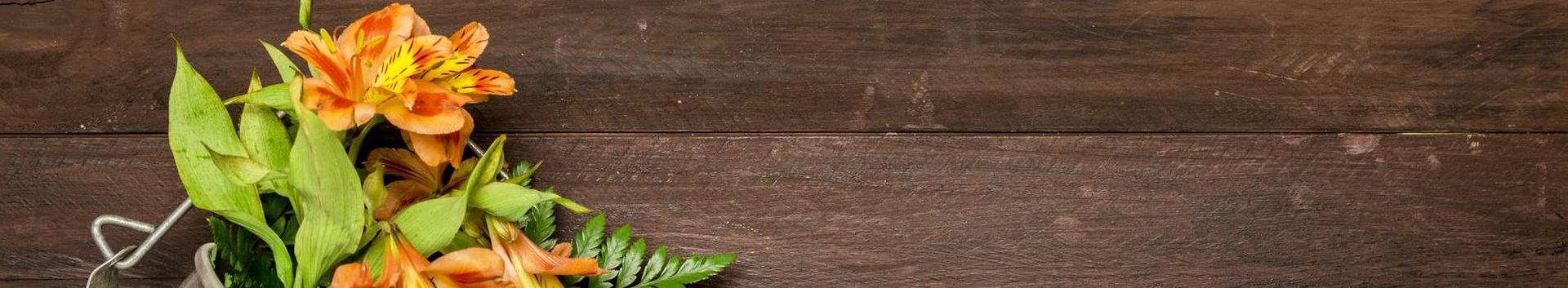 Ärimeedialehel külastusi - 18; jälgijaid - 0. Arvustusi - 0; Artikleid 0  