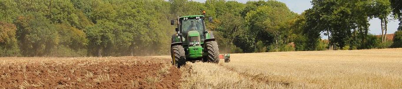 PEKO Masinaehitus OÜ tegeleb põllumajandusmasinate tootmisega. Alustati aastal 2013 uut tüüpi ketaskooreliga. Esimesed kaks masinat on müüdud. Kavandatud on are