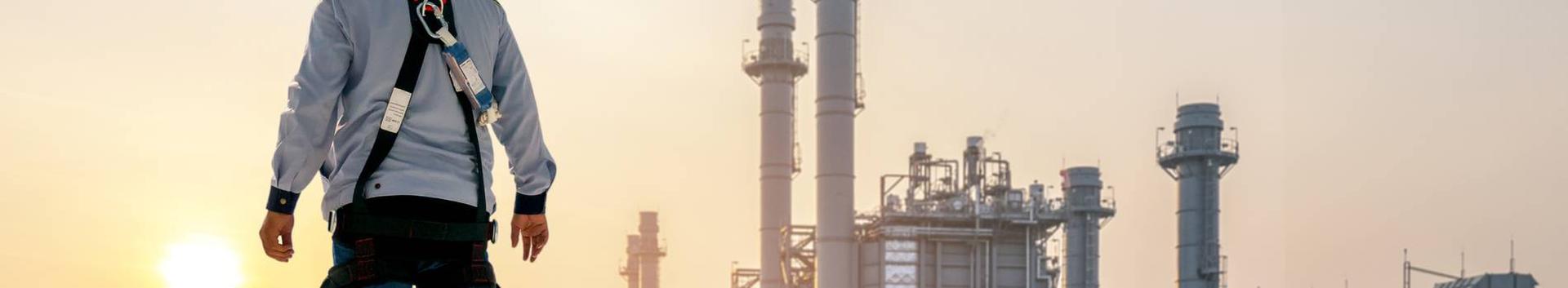 The most comprehensive overview of the company - 50 different interactive graphs and analytical models.