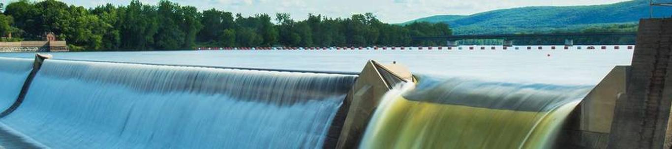 OÜ Sangaste Veed alustas tegevust 2006. aastal. Osaühingu tegevusalaks on hüdroenergia elektrienergia tootmine. 2009. aastal käivitatud Sangaste Hüdroelektrija
