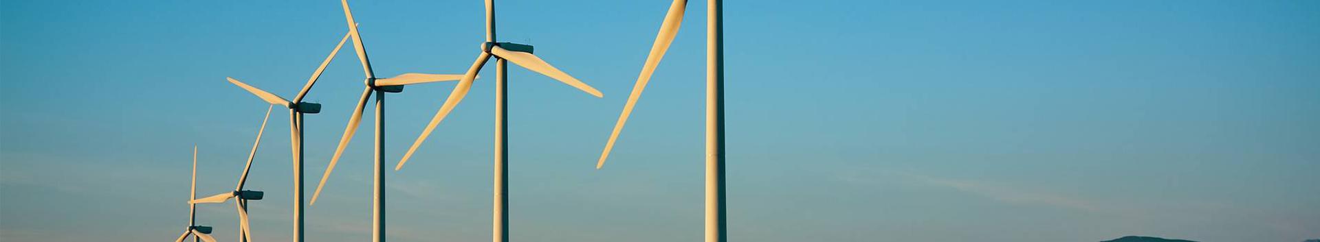 Suurim mainega ettevõte TUULEPEALNE MAA OÜ, maineskoor 10580, aktiivseid äriseoseid 8. Tegutseb peamiselt valdkonnas: Elektrienergia tootmine tuuleenergiast.