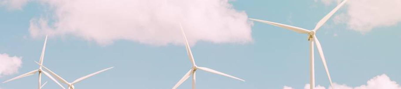 Hiiumaa Offshore Tuulepark OÜ põhitegevusalaks on avamere tuulepargi arendamine. Hilisemaks eesmärgiks on elektrienergia tootmine. Hiiumaa Offshore Tuulepark OÜ ainuosanik on Enefit Green AS, mis kuulub Eesti Energia