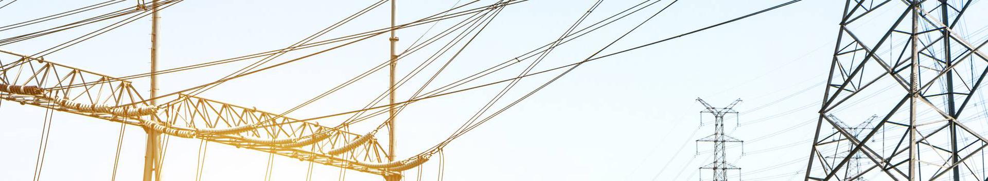 The most comprehensive overview of the company - 50 different interactive graphs and analytical models.