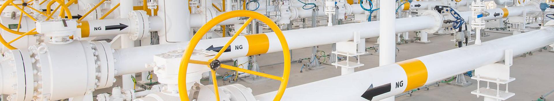 Suurim mainega ettevõte LNG GORSKAYA OVERSEAS OÜ, maineskoor 240, aktiivseid äriseoseid 3. Tegutseb peamiselt valdkonnas: Maagaasi ülekanne.
