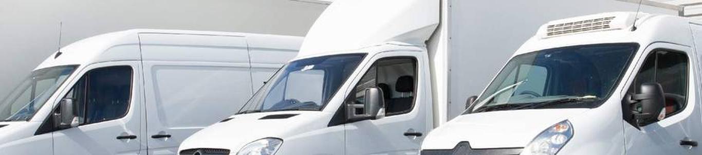 Vilvo Auto OÜ põhitegevusalaks on veoautode hooldus- ja remonditeenuste osutamine ning veoautode varuosade müük, samuti kasutatud veoautode müük. 2022.a. netok