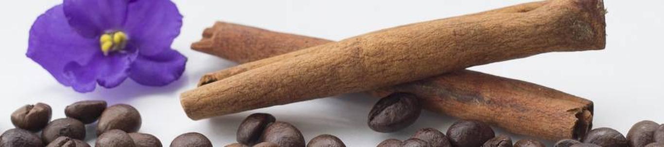 DAMERX OÜ valdkond on kohvi, tee, kakao ja maitseainete hulgimüük. Samas valdkonnas (EMTAK 46371) on tegutsevaid ettevõtteid 2021 aasta seisuga kokku 94 tükki, 