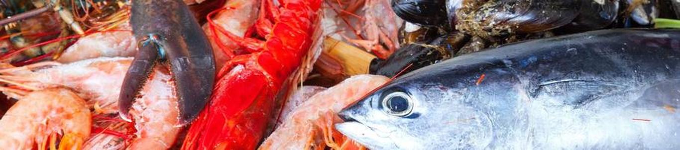 OÜ Daugava Seafoods alustas põhitegevusega 08.jaanuar 2018.a. (EMTAK kood 46381). 2022 a.müügitulu oli 275300 eur. Juhatuse likmele on tasutud palka 6000 eur.