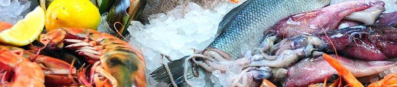 FROZEN FISH AND SEAFOOD OÜ:  Success story 