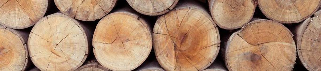 VSN SERVIS OÜ valdkond on puidu ja puidu esmatöötlustoodete hulgimüük. Samas valdkonnas (EMTAK 46731) on tegutsevaid ettevõtteid 2021 aasta seisuga kokku 357 tü