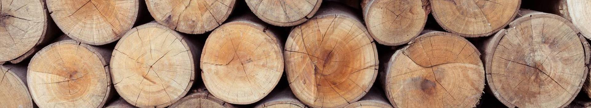 metsatööd, puidu- ja paberitööstus, puidu kokkuost ja müük, üldehitus