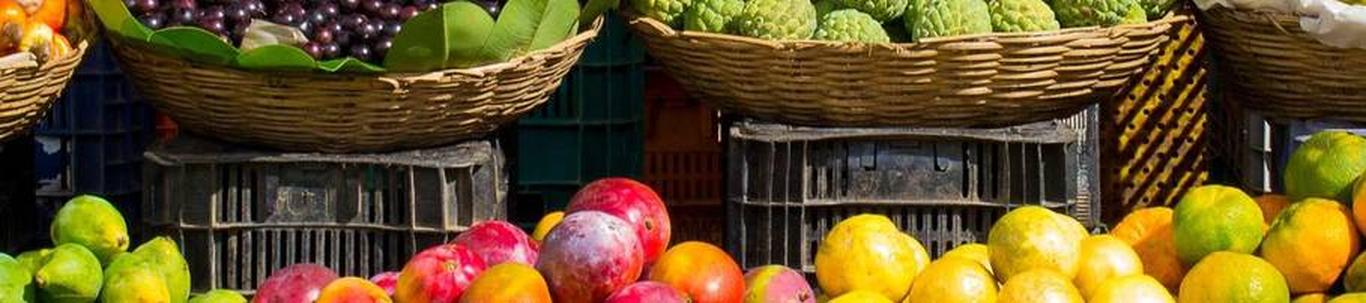 Berry Passion OÜ tegeleb puu- ja köögivilja jaemüügiga.