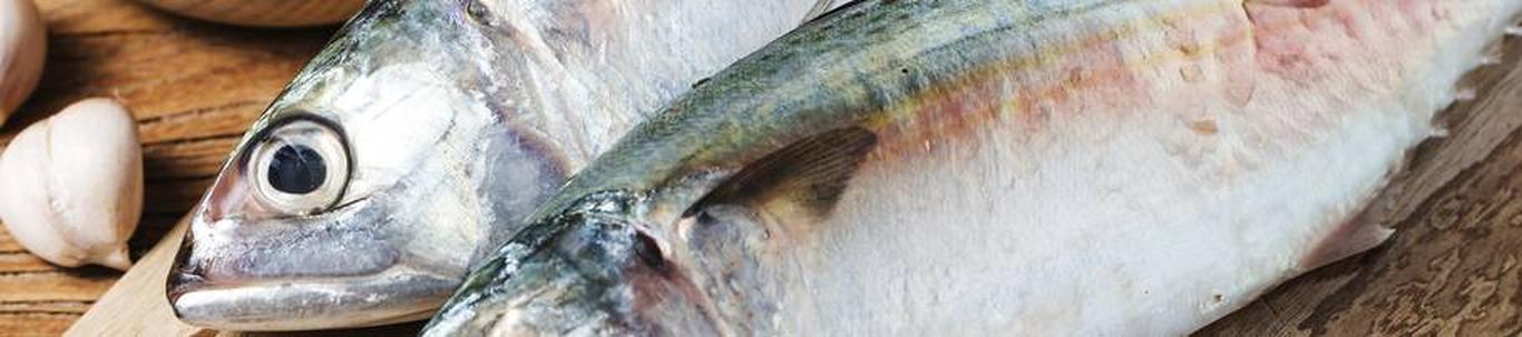 OÜ Peipsi Kalatoode tegevusalaks on Peipsi kala töötlemine ja selle turustamine otse tarbijale.
