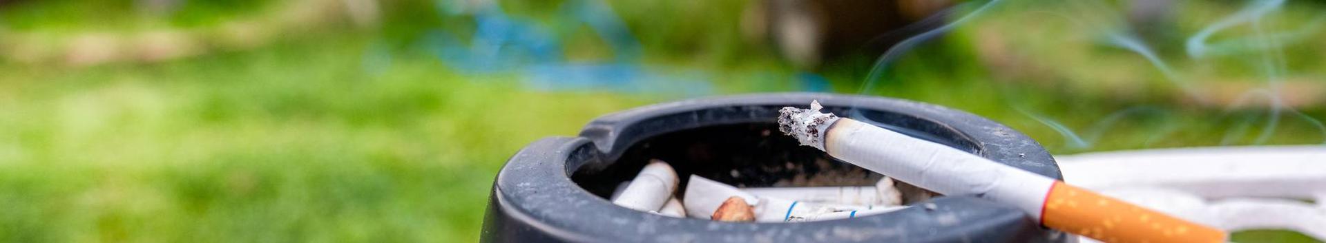 Business media page visits - 648; followers - 2. Reviews - 3; Articles 1+ 