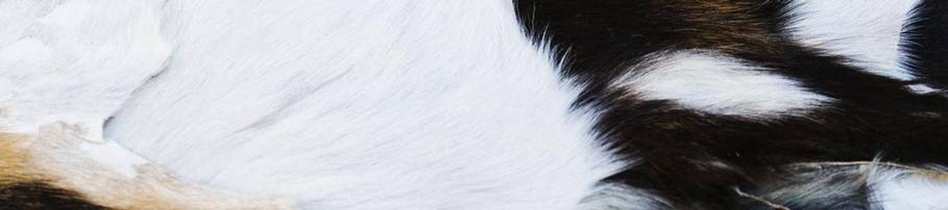 Tapeet is one of the most effective ways to quickly make the space more complete, cosy and visually interesting. If the aim is to give the interior a fresh look