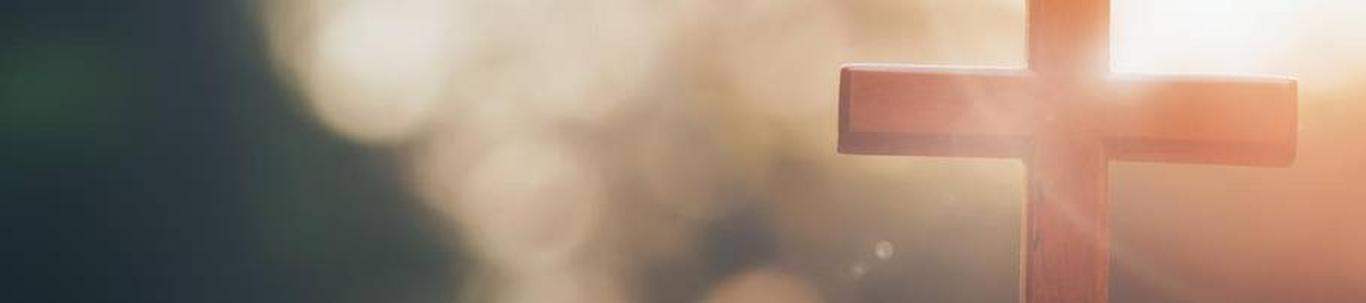 Lai selection of cameras and equipment with professional services ensures smooth experience for both the practitioner and the studio. New and carefully controll