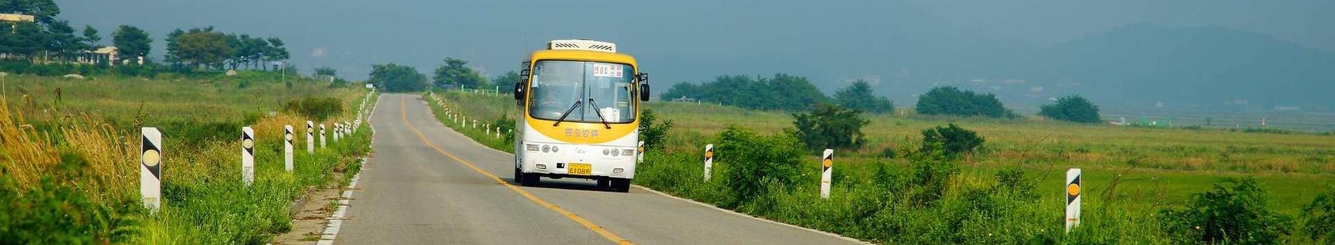 Renting of buses with driver, Passenger transport