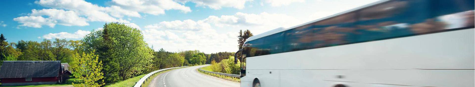 transpordi- ja kullerteenused, Juhiga busside rentimine, Sõitjatevedu