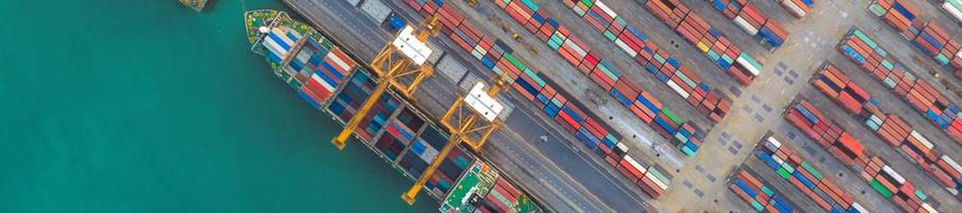 Transglobal Shipping and Logistics OÜ on asutatud 2017.aastal, ...