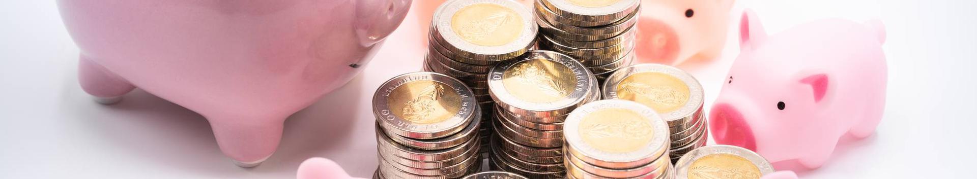 Ettevõtete kuu keskmine käive  EUR, kasumimarginaal 0%, prognooskäive 2025 . Kinnisvara seisuga...