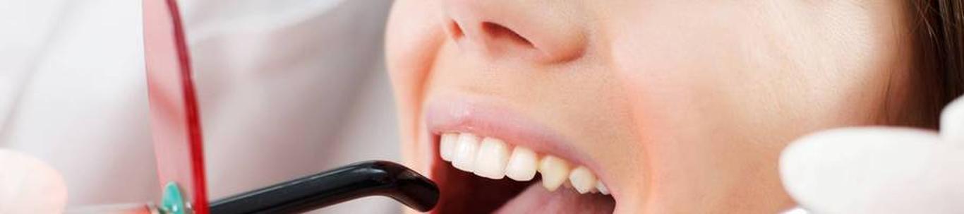 Osaühing Pihooja põhitegevuseks on hambaraviteenuse osutamine. Ettevõtte tegutseb Tallinnas, alates 2022. aasta märtsist aadressil Toom-Kuninga tn 15-113 (kuni