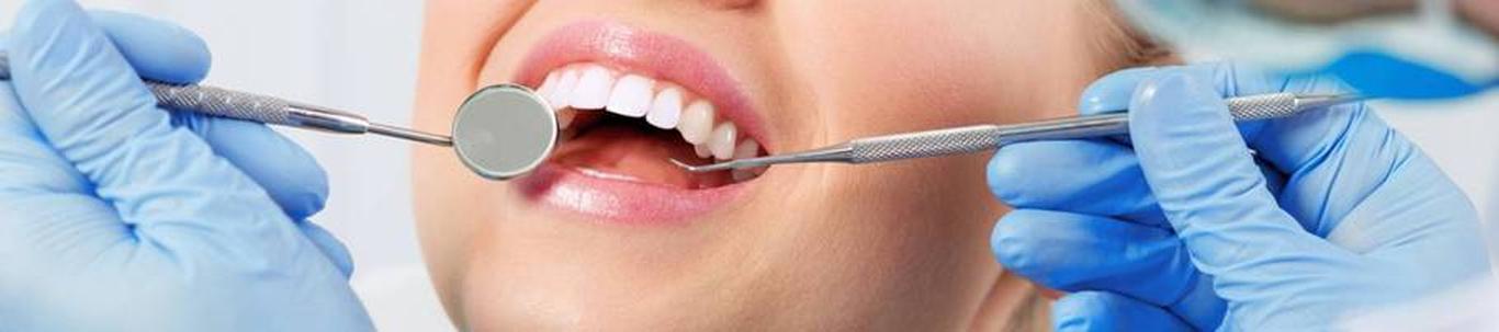 Osaühing Kodudoktor Hambaravi peamiseks tegevusalaks on hambaraviteenuste osutamine.
