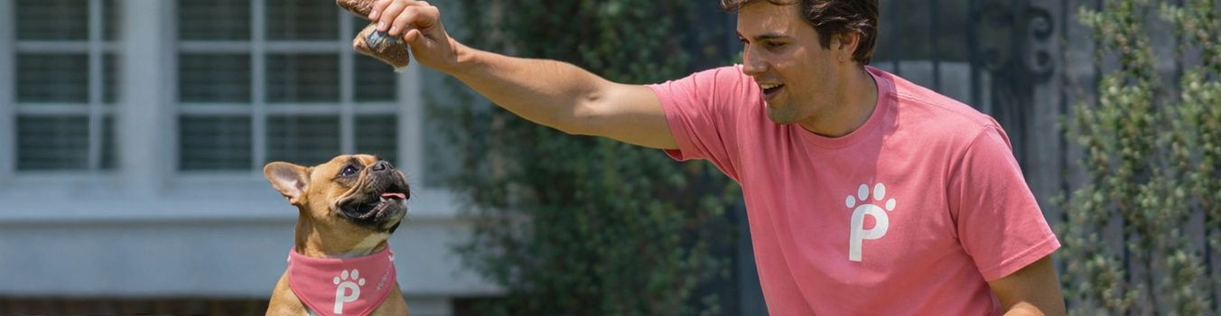 The average monthly turnover of companies is  EUR, profit margin 0%, forecast turnover in 2026 . Real estate as of...