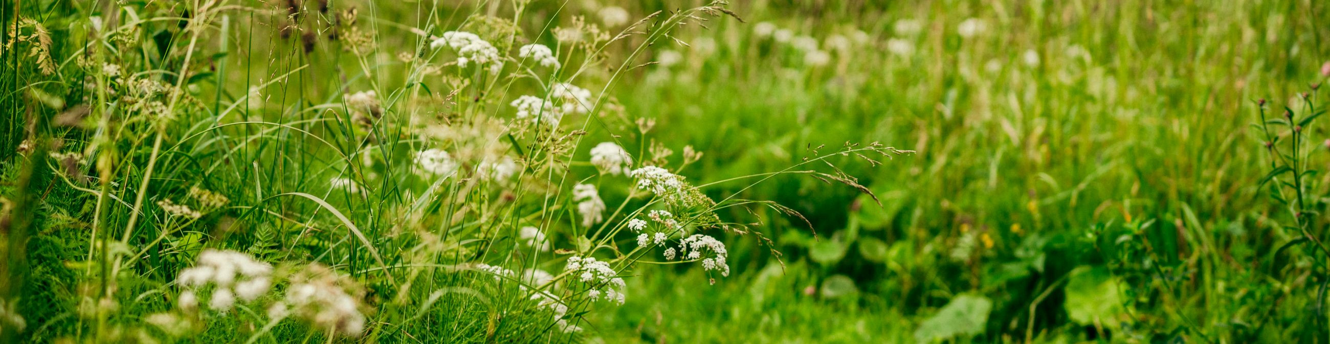fotokoolitus, brändifotod, komertsfotograafia, Kinkekaart, praktiline fotograafia, turundusfotograafia, tootefotograafia, tootefotod, portreefotod, kingitus