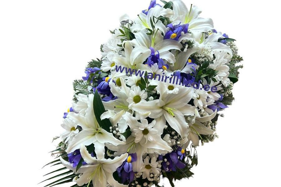 PRODUCT_24488319_m_xl.jpeg