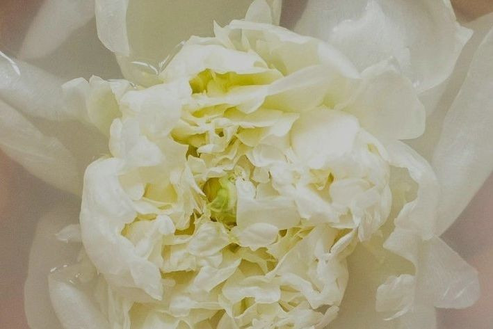 PRODUCT_81726624_m_xl.jpeg