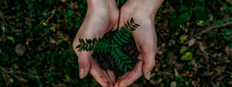  Kuidas rajavad Eesti Keskkonnateenused teed ettevõtete roheliku tuleviku suunas?