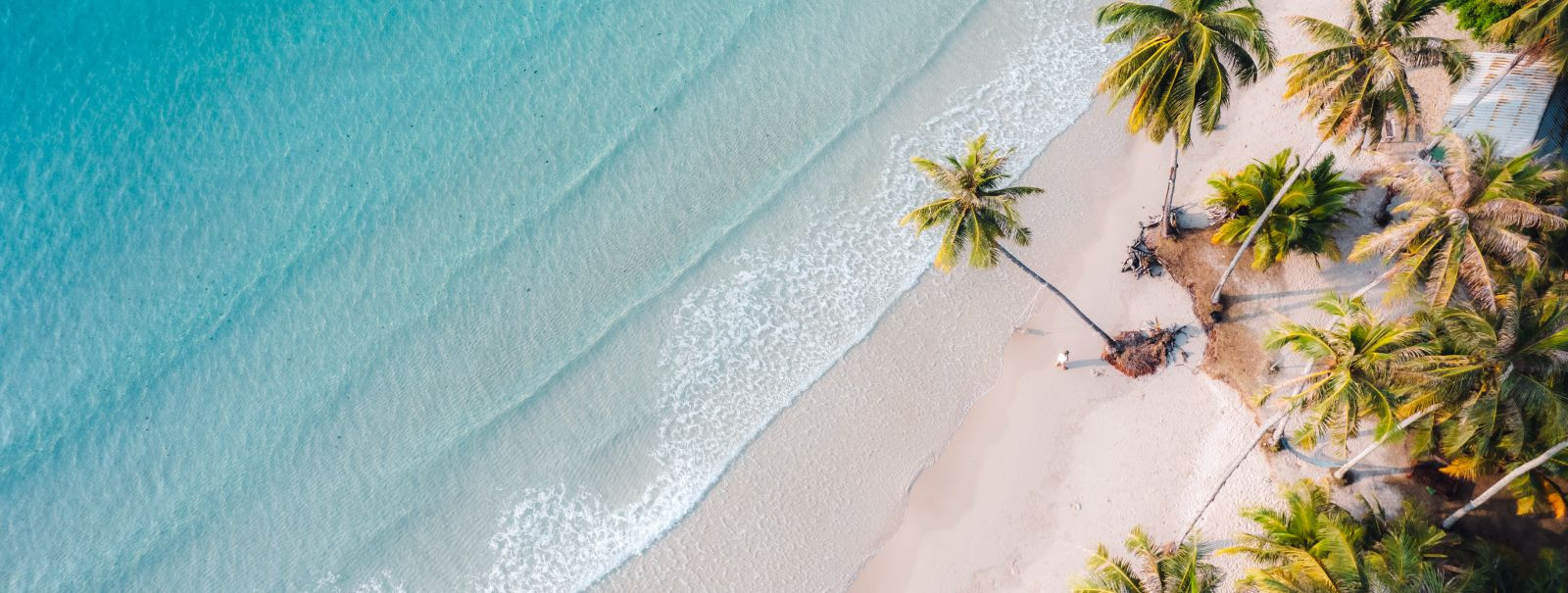 As the days grow longer and the sun shines brighter, the allure of a sunny getaway becomes irresistible. Whether you're dreaming of lounging on pristine beaches