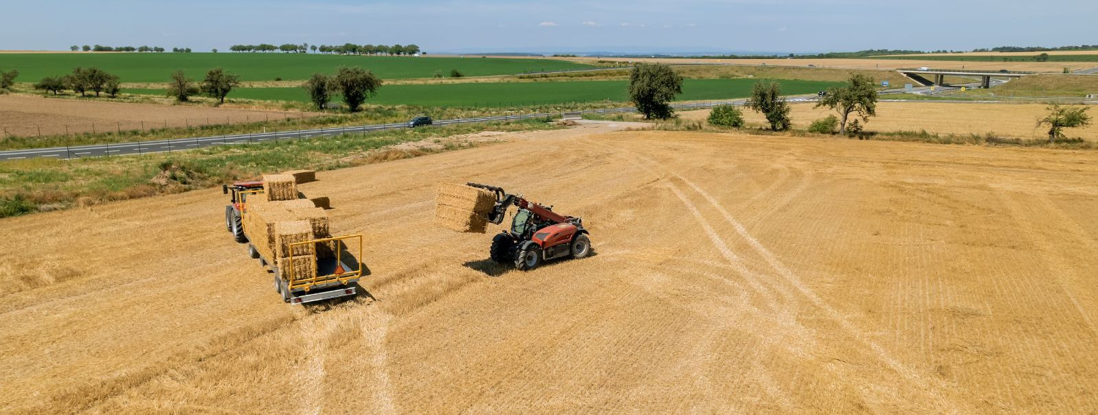 Jätkusuutlik põllumajandus on põllumajandusmeetod, mis keskendub ...