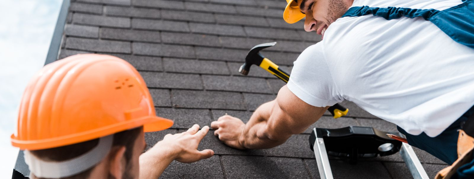 For homeowners, real estate developers, and commercial property managers, the integrity of a building's roof is paramount. A failing roof can lead to a cascade 