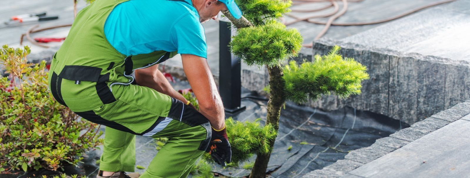 Eesti ainulaadne kliima ja rikas bioloogiline mitmekesisus loovad eeldused jätkusuutlikuks maastikukujunduseks. Külma talve, leebete suvede ja mitmekesiste ökos