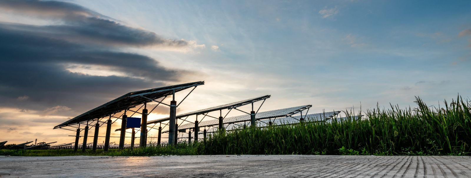 Päikesepargid, tuntud ka kui päikesejaamad, on suuremahulised päikesepaneelide paigaldised, mis on mõeldud päikeseenergia massiliseks elektriks muundamiseks. Ne