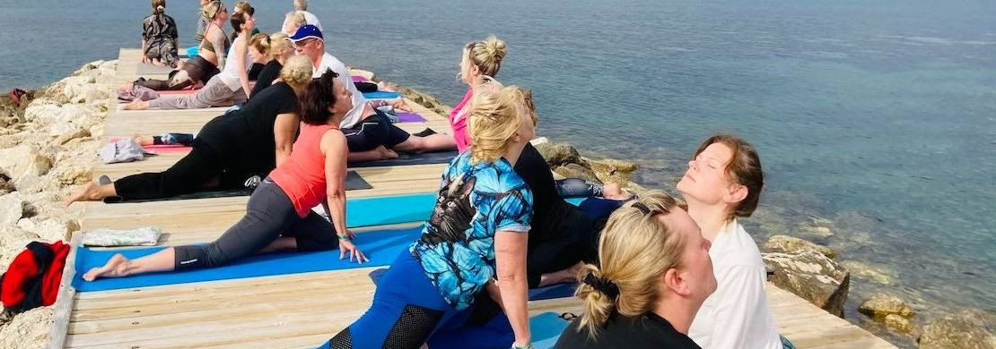 Kui otsid viisi, kuidas leida tasakaal ning soovid sukelduda jooga ja tervise maailma, siis STUDIO 108 (MTÜ Stuudio Sada Kaheksa) on just see õige koht sinu jao